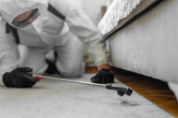 Professional Bed Bug Control technician working in Heyburn, ID
