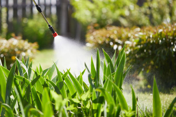 24/7 Emergency Bed Bug Control experts in Heyburn, ID